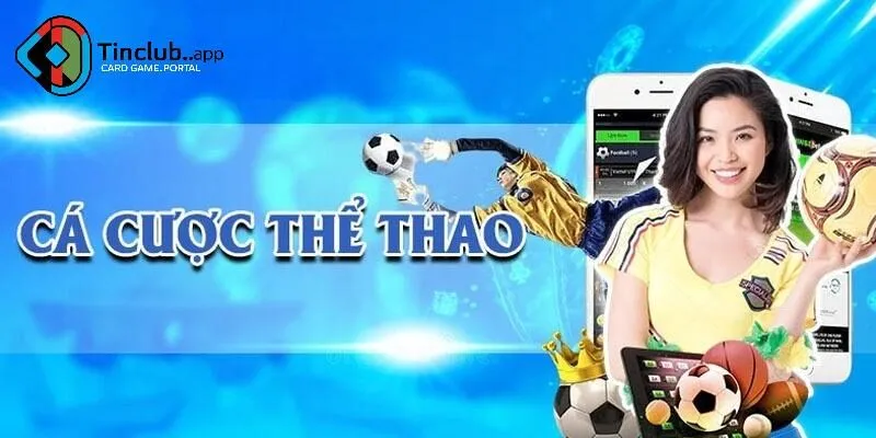Kèo cá độ siêu hot dành cho người mới
